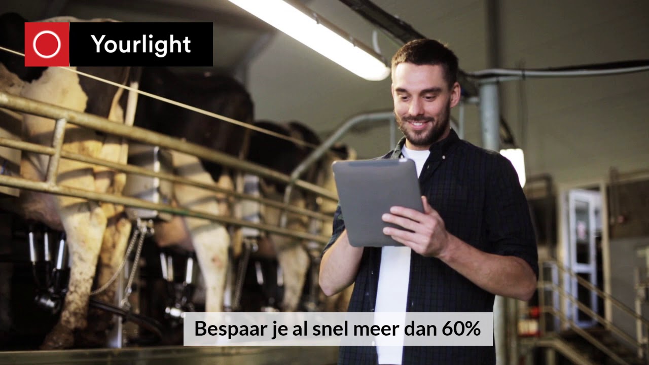 Stalverlichting vervangen voor LED - Yourlight