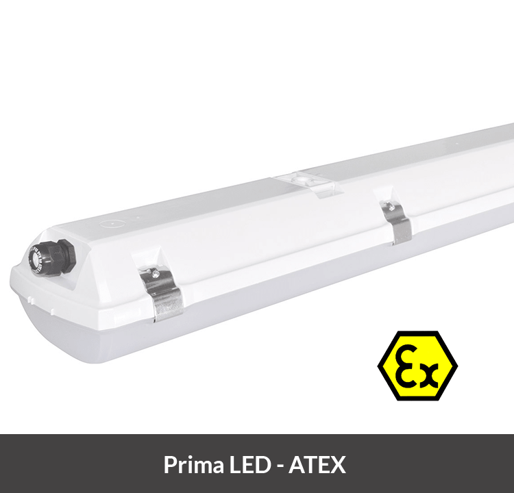 Prima LED atex-min (1)