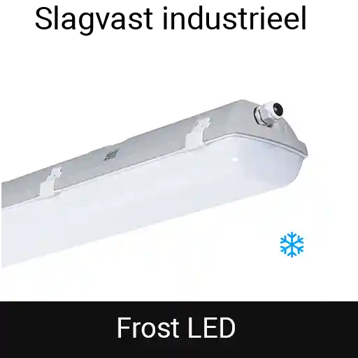 Frost LED
